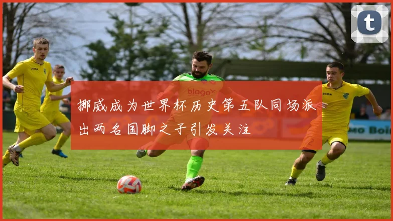 挪威成为世界杯历史第五队同场派出两名国脚之子引发关注