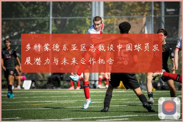 多特蒙德东亚区总裁谈中国球员发展潜力与未来合作机会